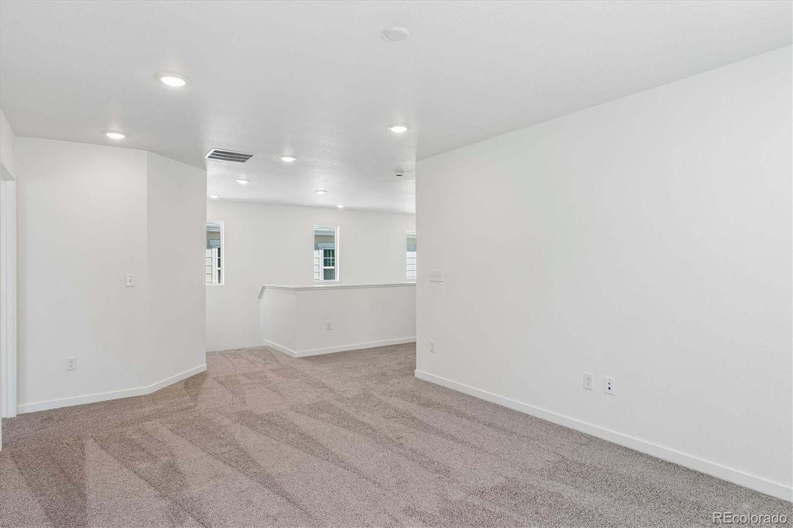 MLS Image #13 for 9156  hayden peak street,englewood, Colorado