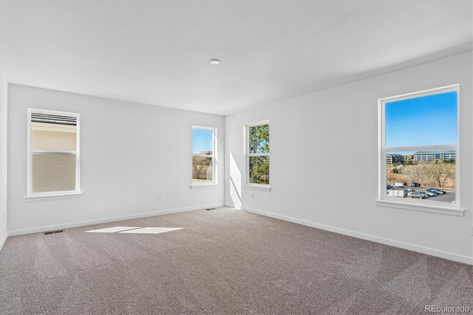 MLS Image #17 for 9156  hayden peak street,englewood, Colorado
