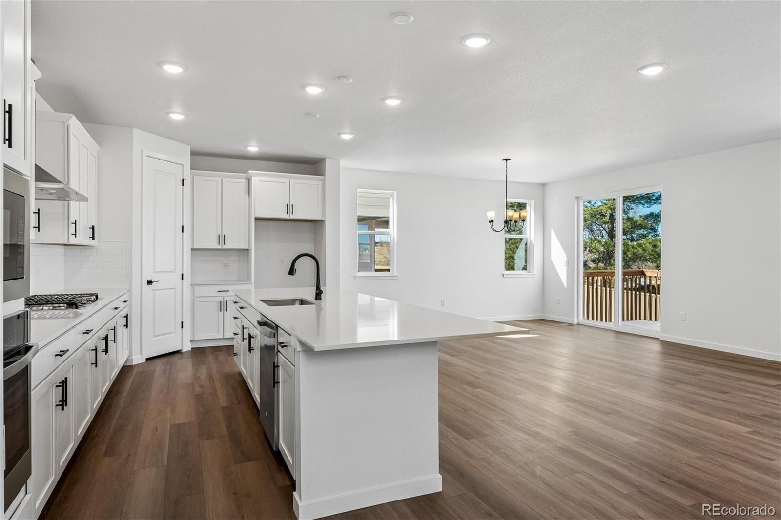 MLS Image #5 for 9156  hayden peak street,englewood, Colorado