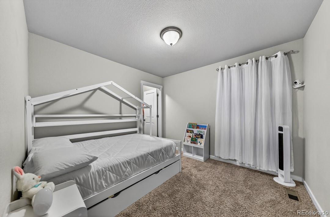 MLS Image #14 for 9876  chromatic terrace,peyton, Colorado