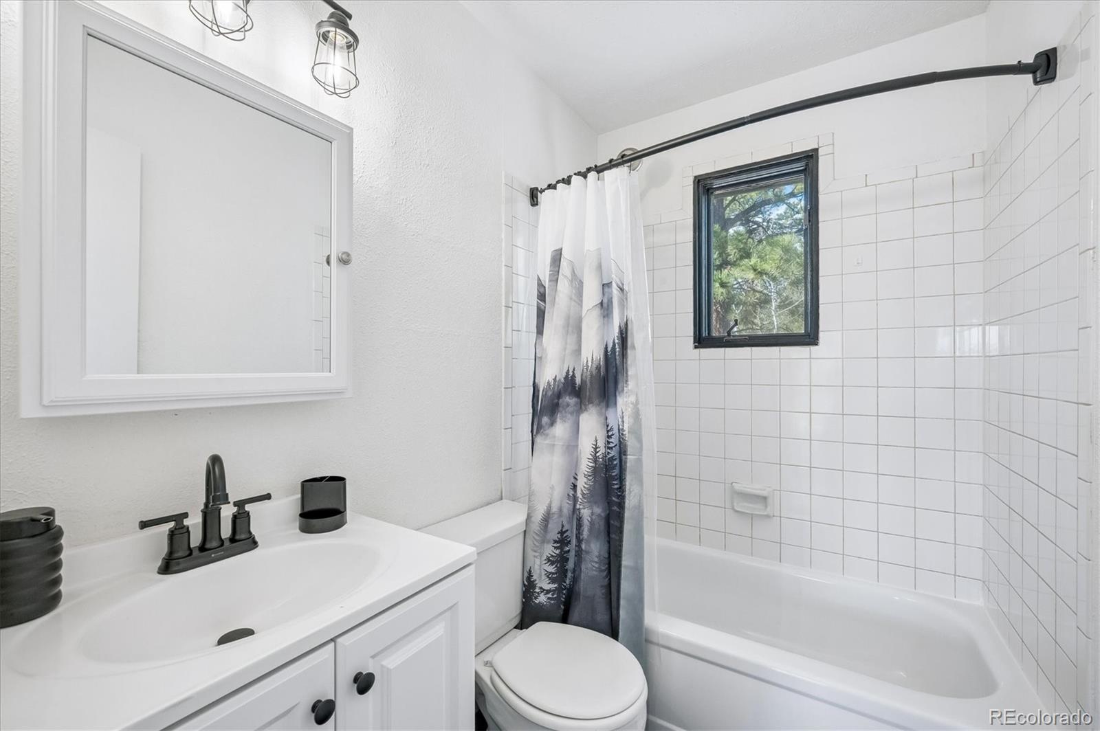 MLS Image #19 for 55 w crosscut ,bailey, Colorado