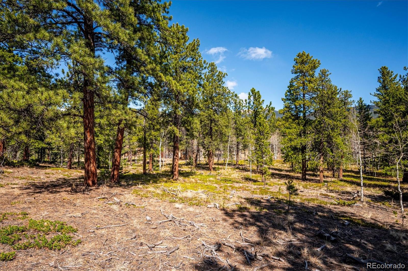 MLS Image #33 for 55 w crosscut ,bailey, Colorado