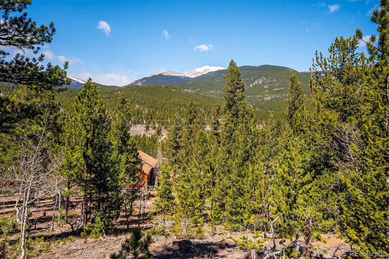 MLS Image #34 for 55 w crosscut ,bailey, Colorado