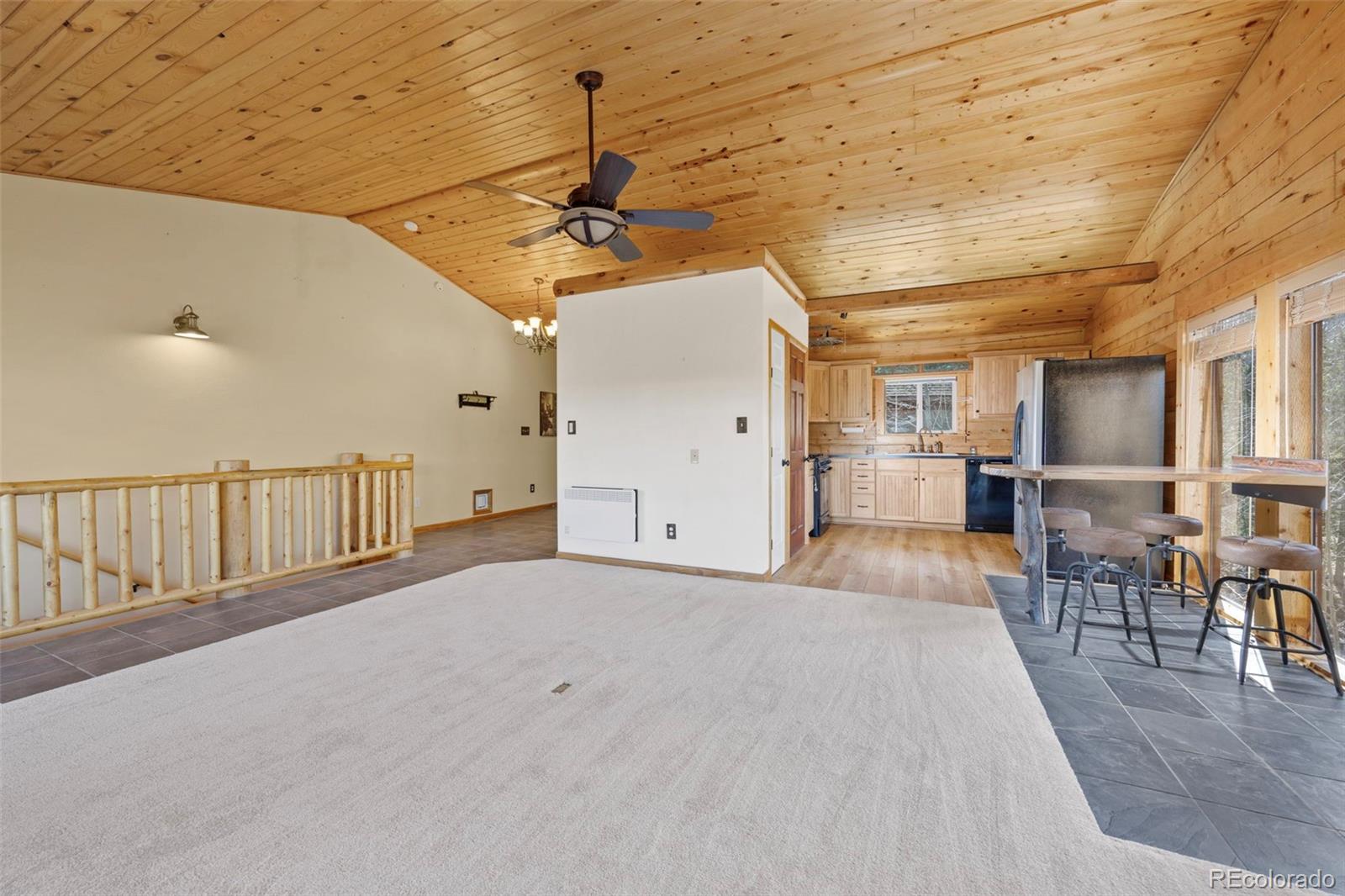 MLS Image #15 for 305  genevas way,black hawk, Colorado