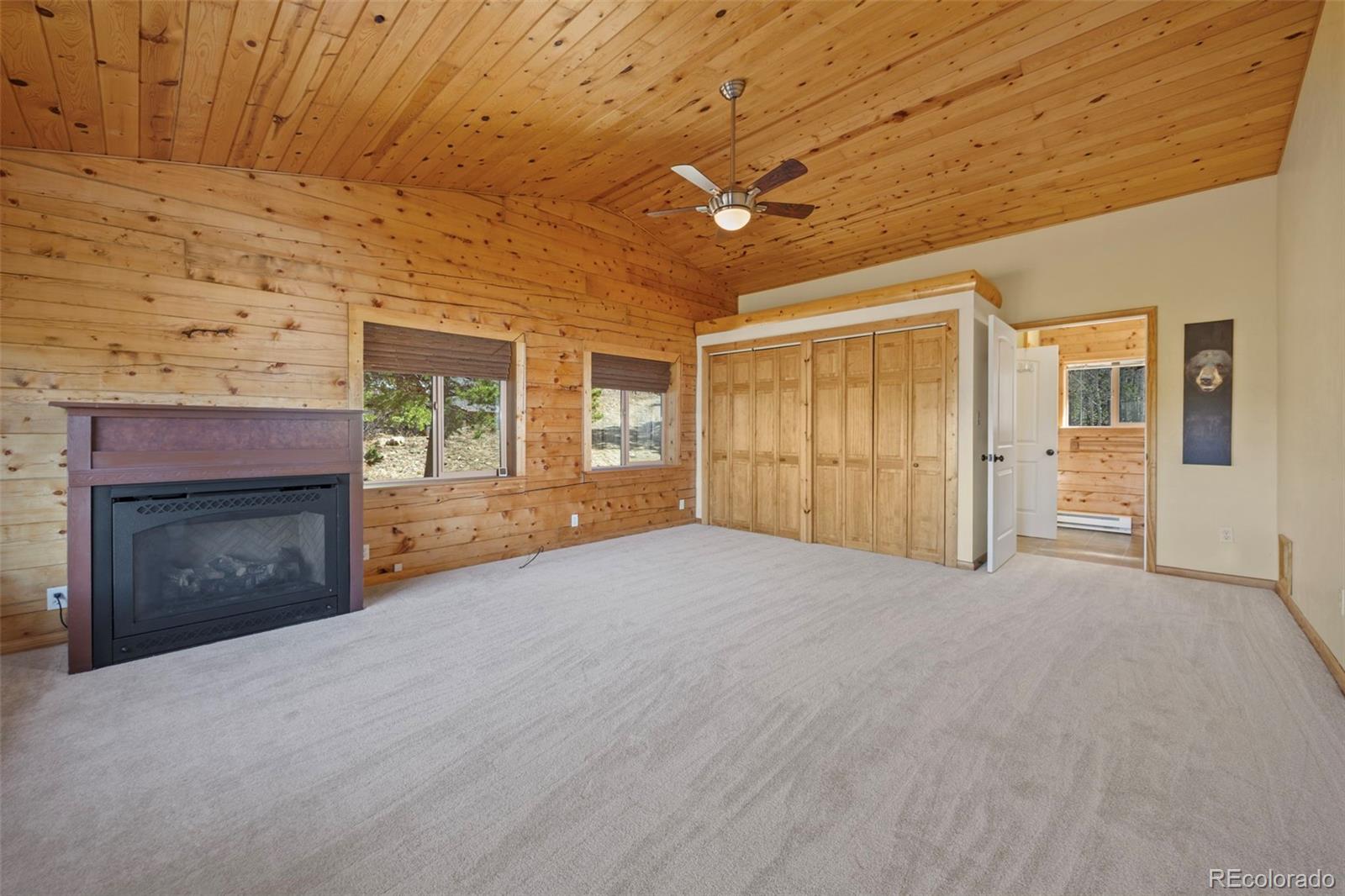 MLS Image #25 for 305  genevas way,black hawk, Colorado