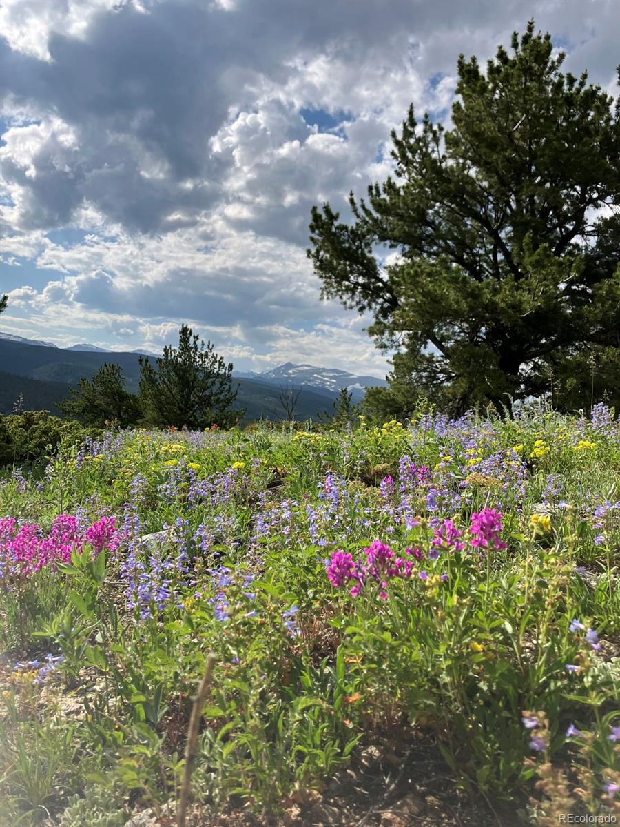 MLS Image #49 for 305  genevas way,black hawk, Colorado