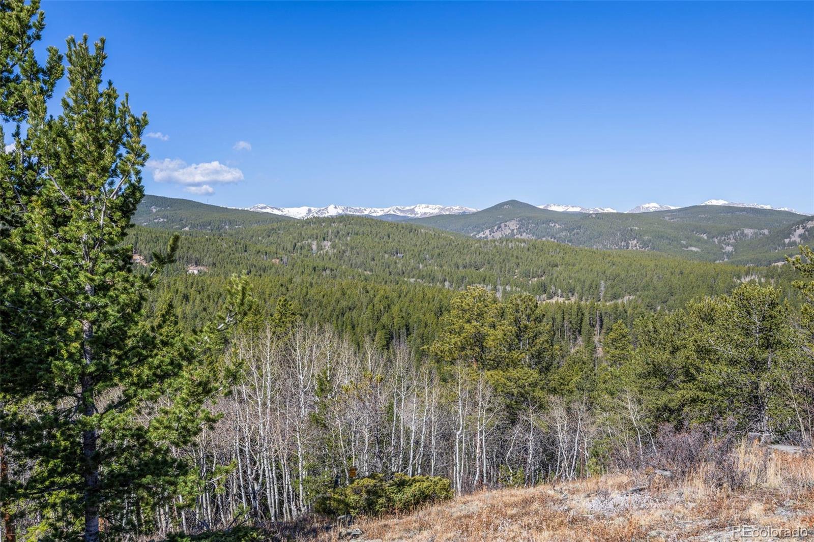 MLS Image #8 for 305  genevas way,black hawk, Colorado