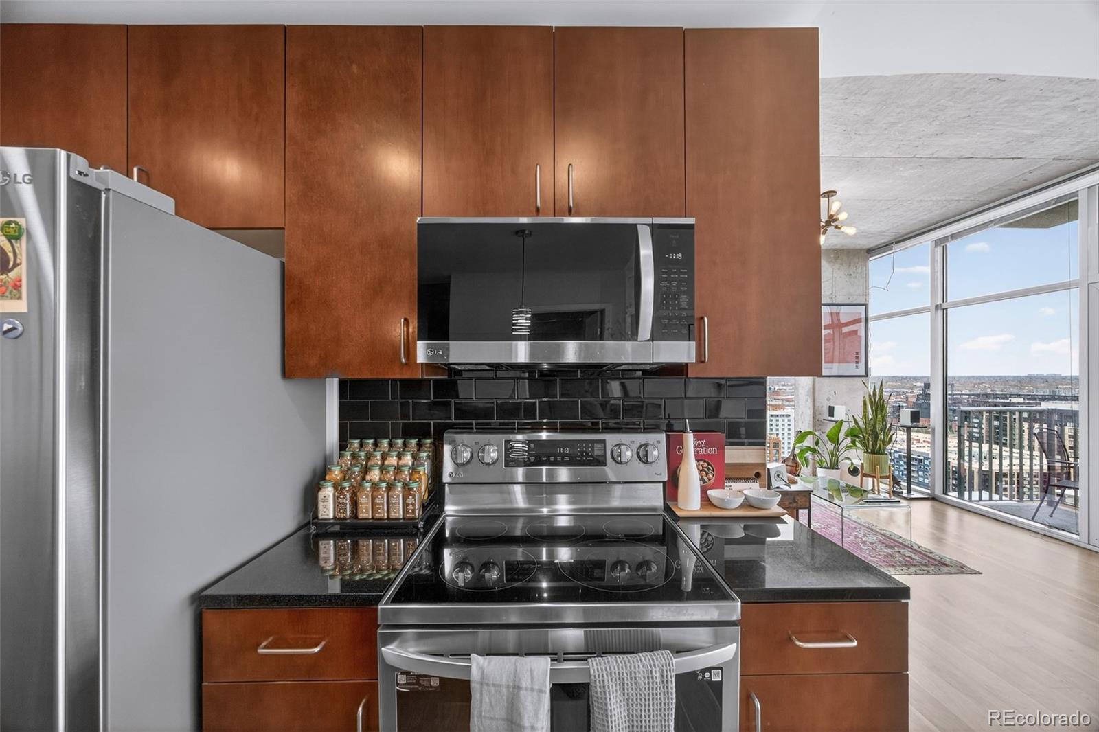 MLS Image #10 for 1700  bassett street 2012,denver, Colorado