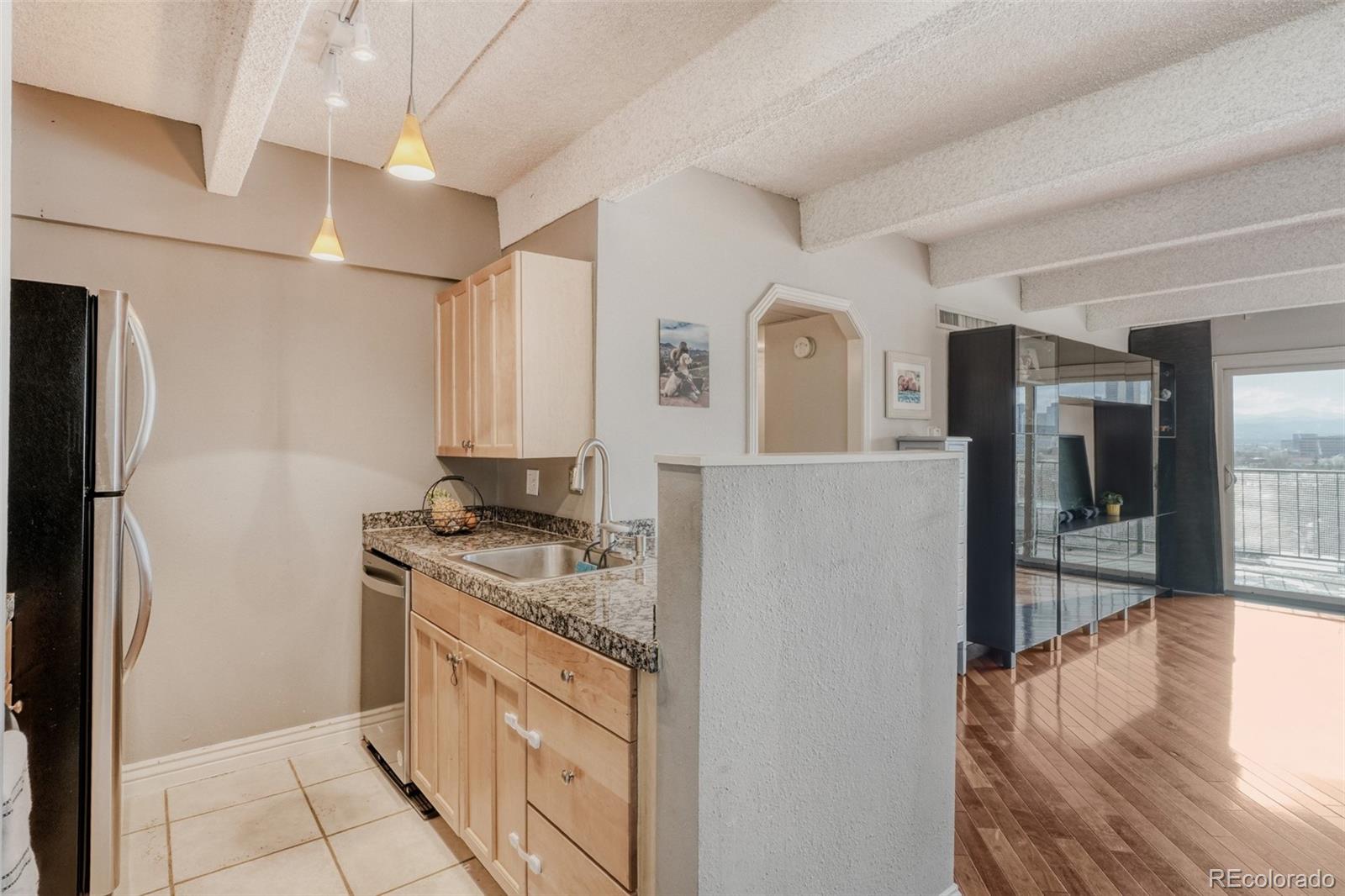 MLS Image #12 for 1433 n williams street,denver, Colorado