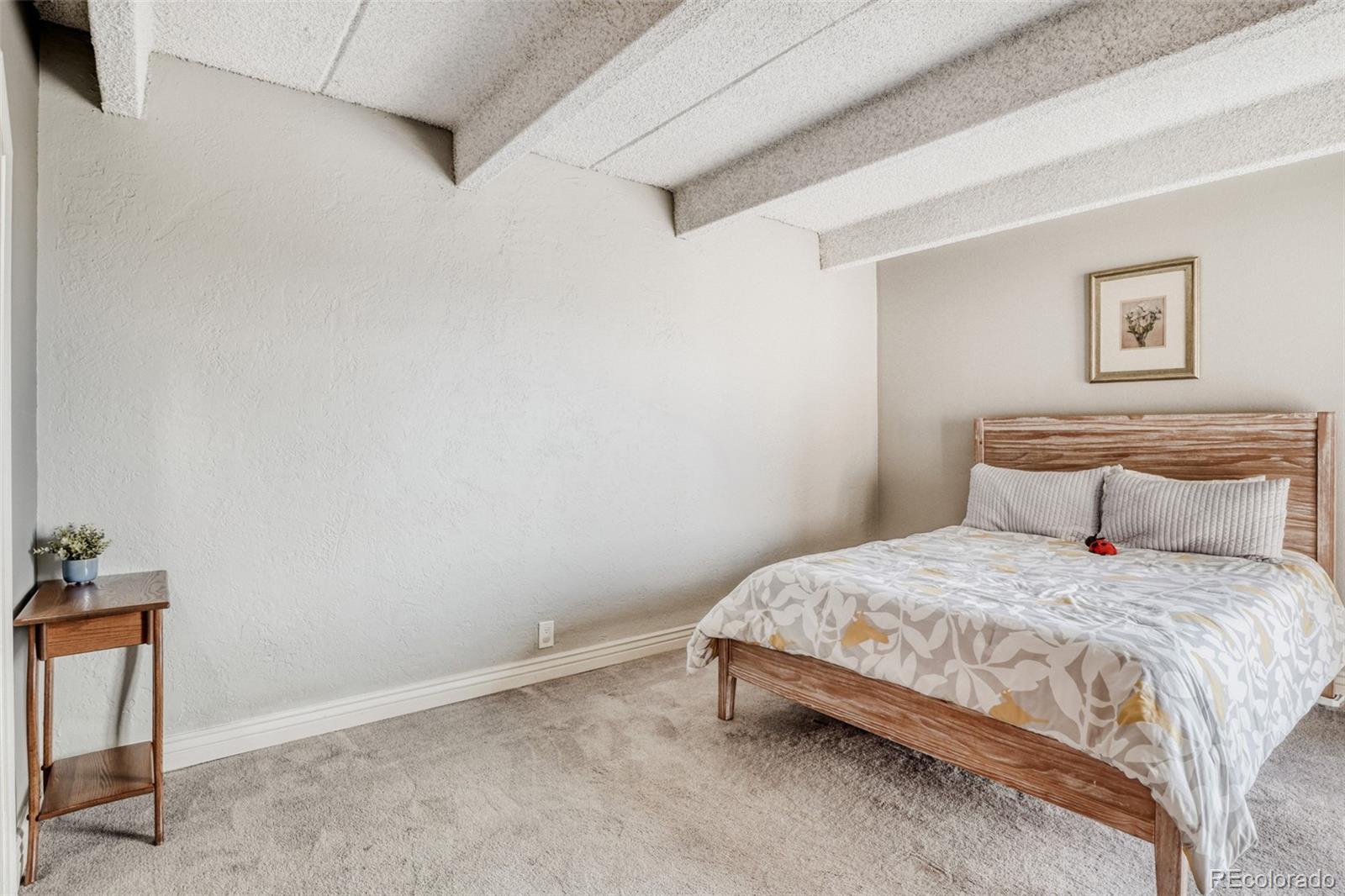 MLS Image #19 for 1433 n williams street,denver, Colorado