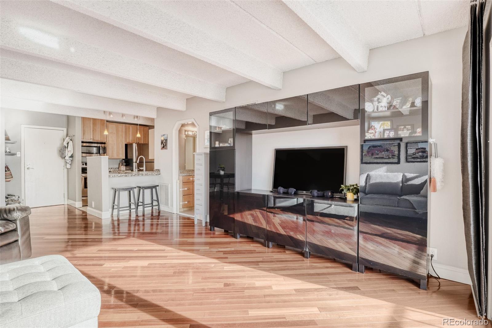 MLS Image #7 for 1433 n williams street,denver, Colorado