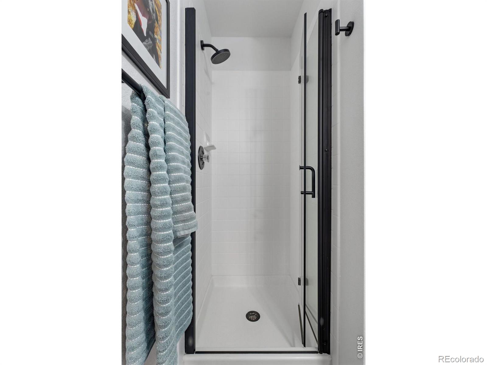 MLS Image #15 for 911  cleveland court,louisville, Colorado