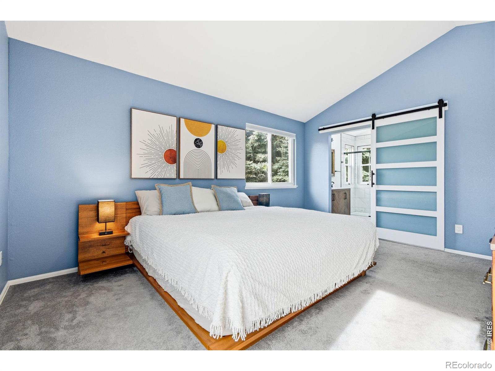 MLS Image #18 for 911  cleveland court,louisville, Colorado