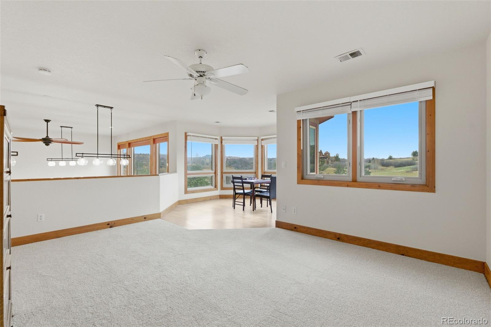 MLS Image #27 for 2131  kahala circle,castle rock, Colorado