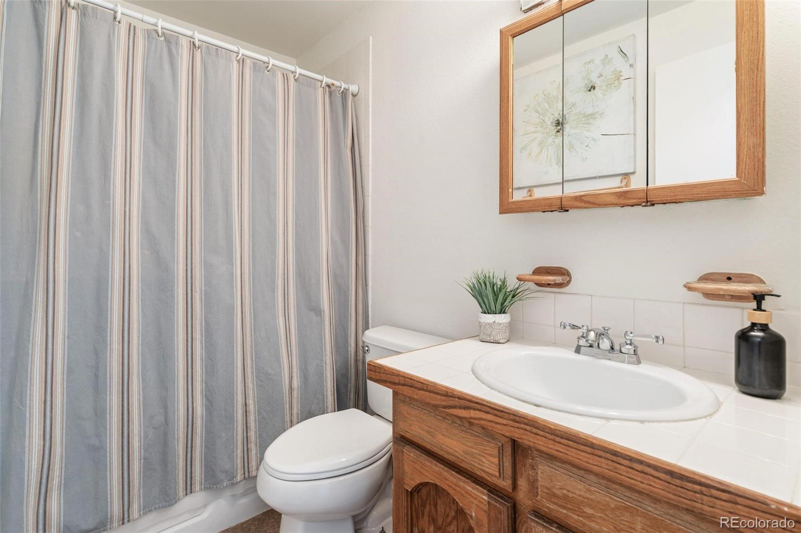 MLS Image #17 for 4432 e 118th place,thornton, Colorado