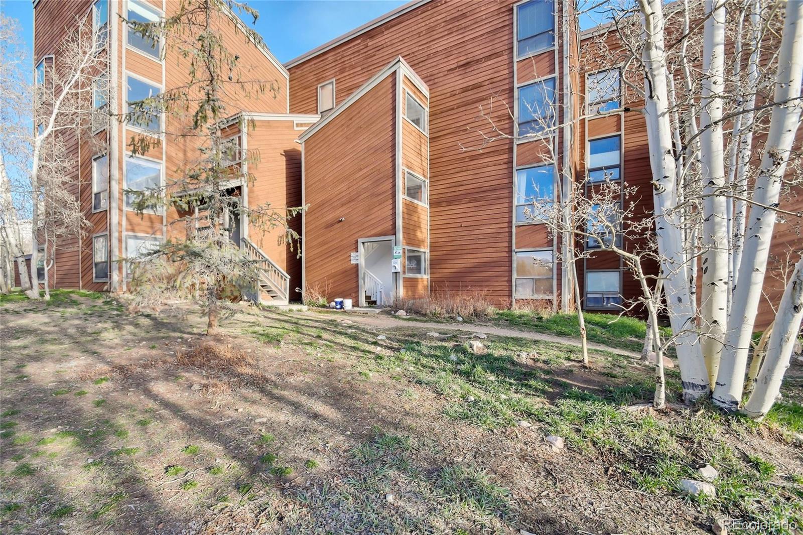 MLS Image #1 for 2710  ryan  gulch road,silverthorne, Colorado