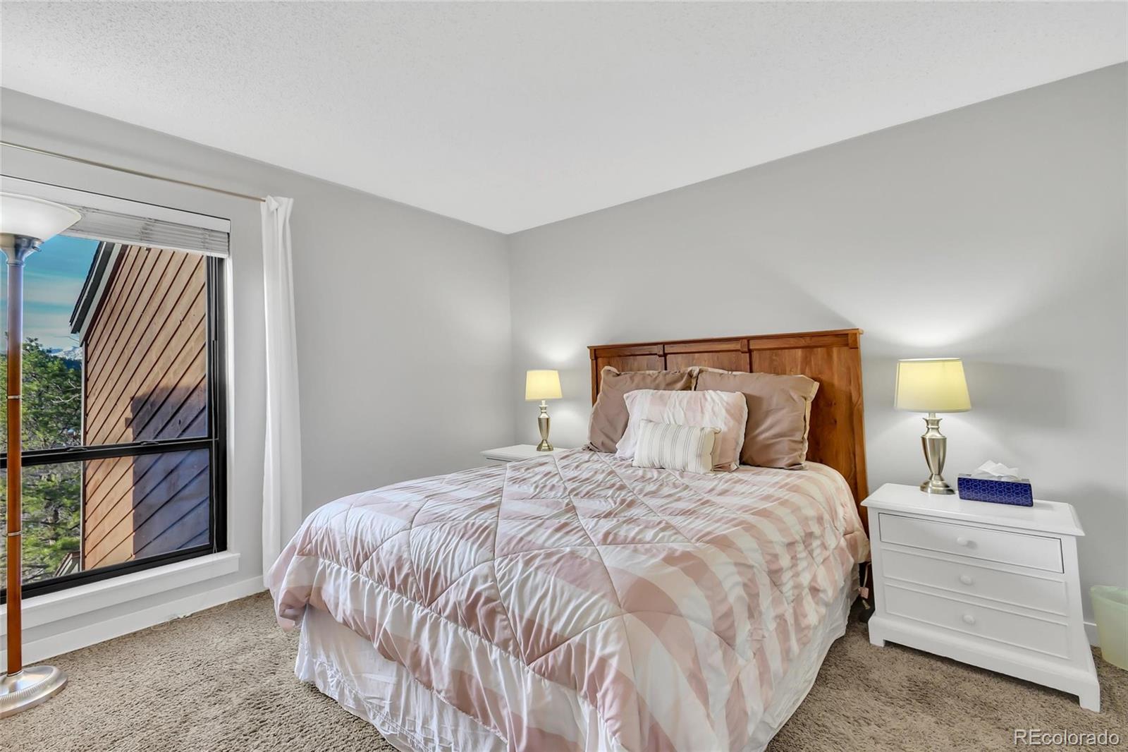 MLS Image #14 for 2710  ryan  gulch road,silverthorne, Colorado