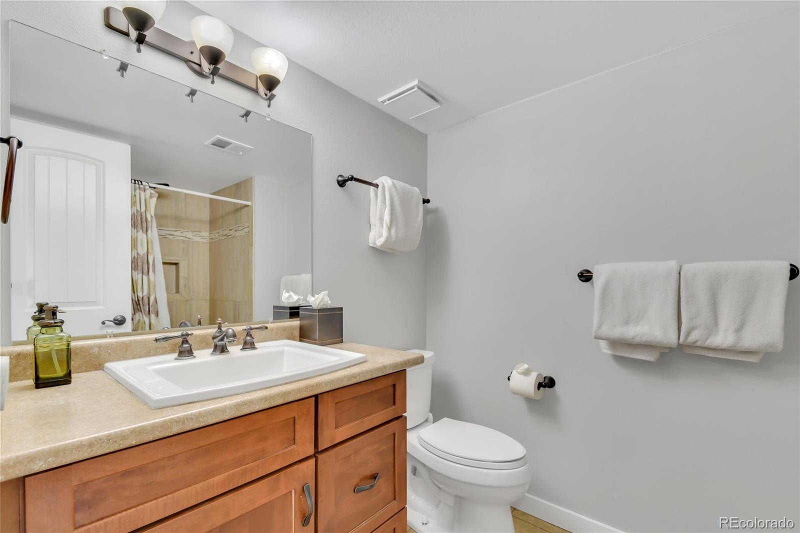 MLS Image #15 for 2710  ryan  gulch road,silverthorne, Colorado