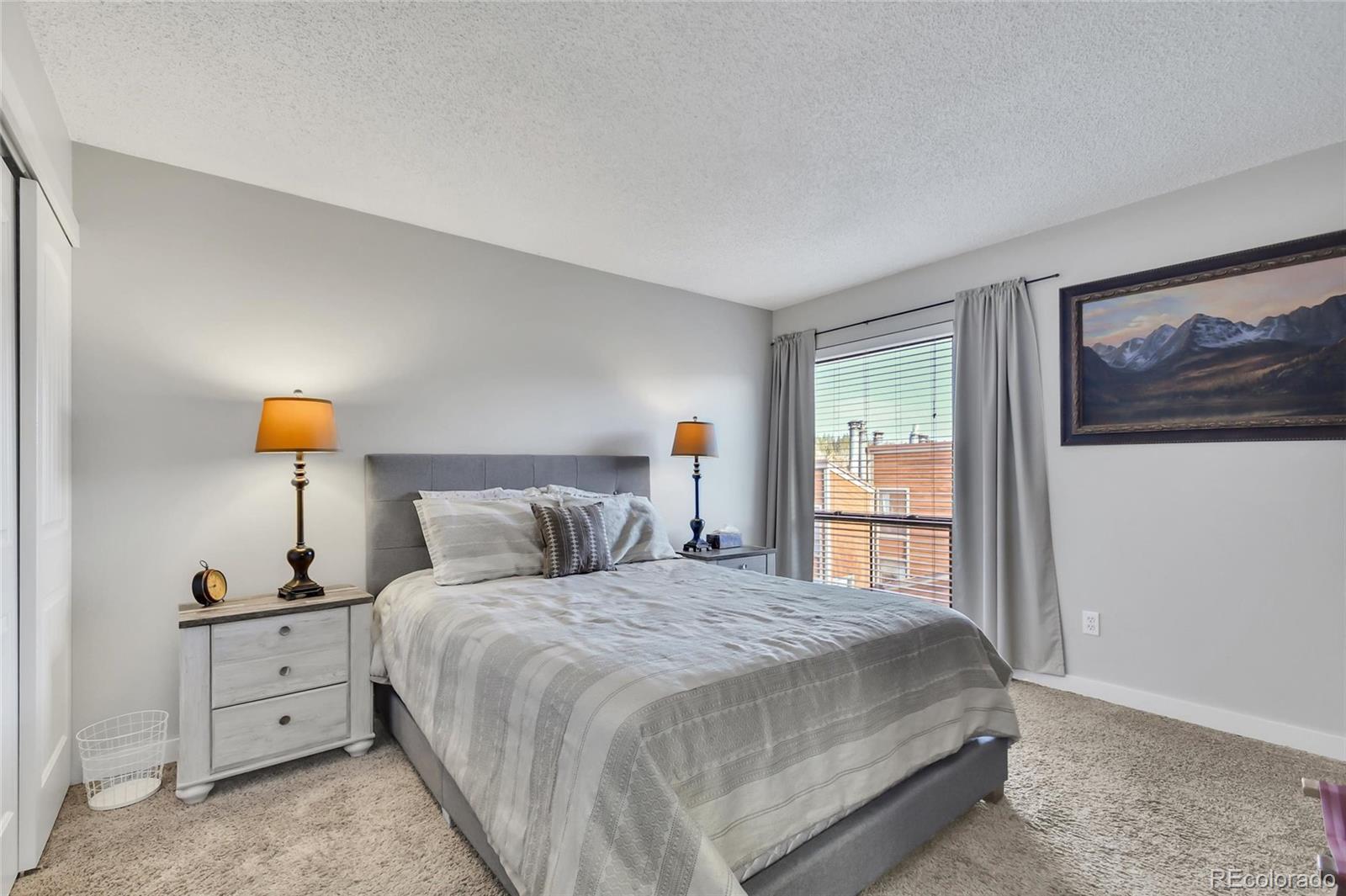 MLS Image #17 for 2710  ryan  gulch road,silverthorne, Colorado