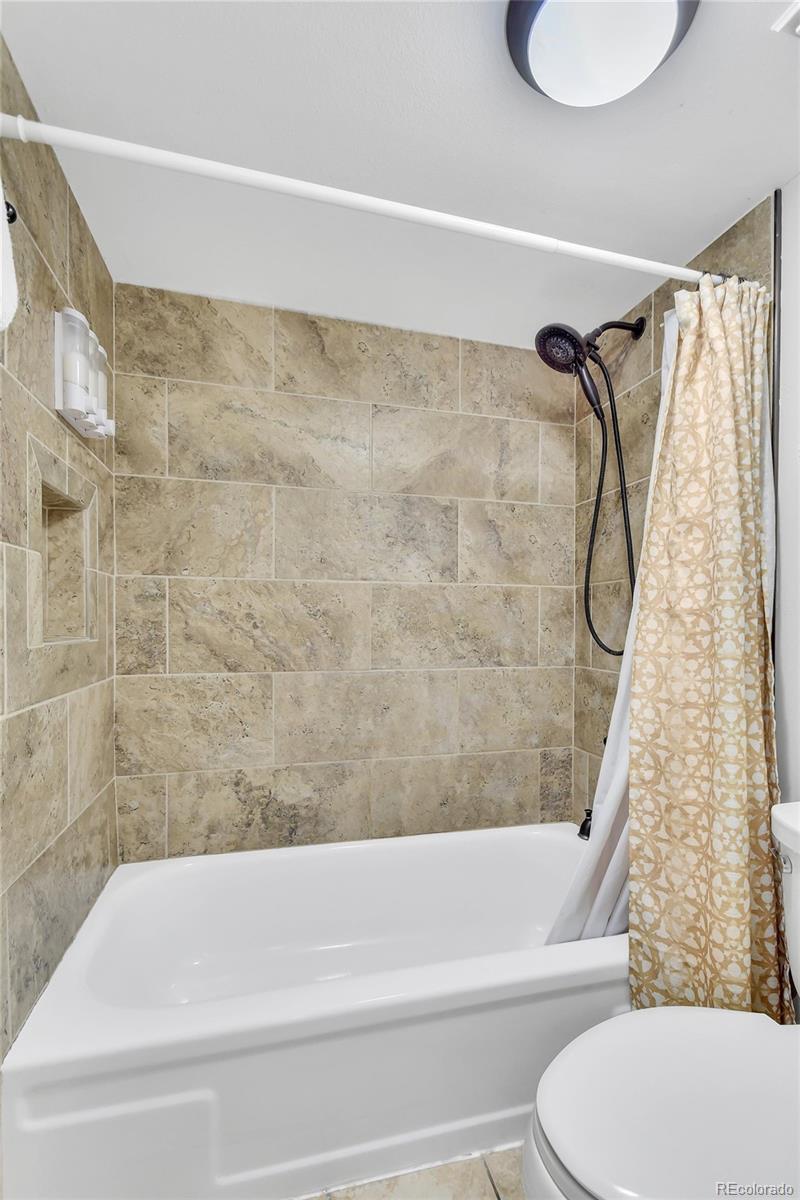 MLS Image #20 for 2710  ryan  gulch road,silverthorne, Colorado
