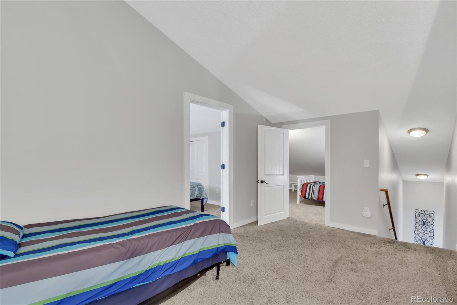MLS Image #22 for 2710  ryan  gulch road,silverthorne, Colorado