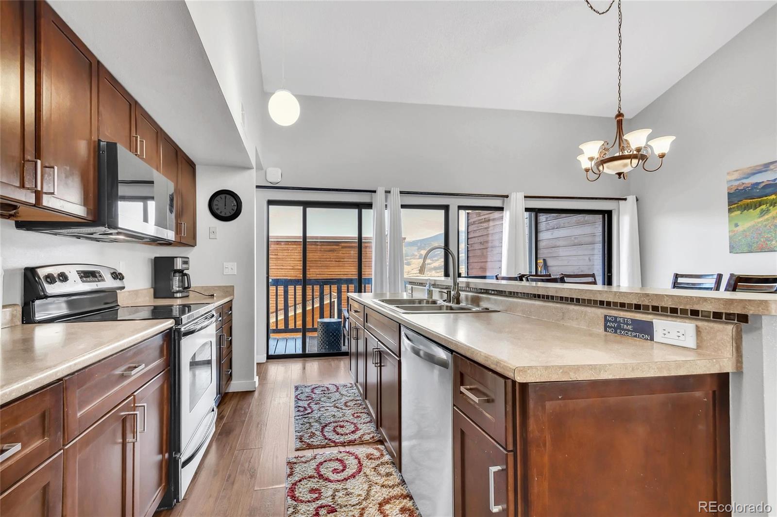 MLS Image #8 for 2710  ryan  gulch road,silverthorne, Colorado