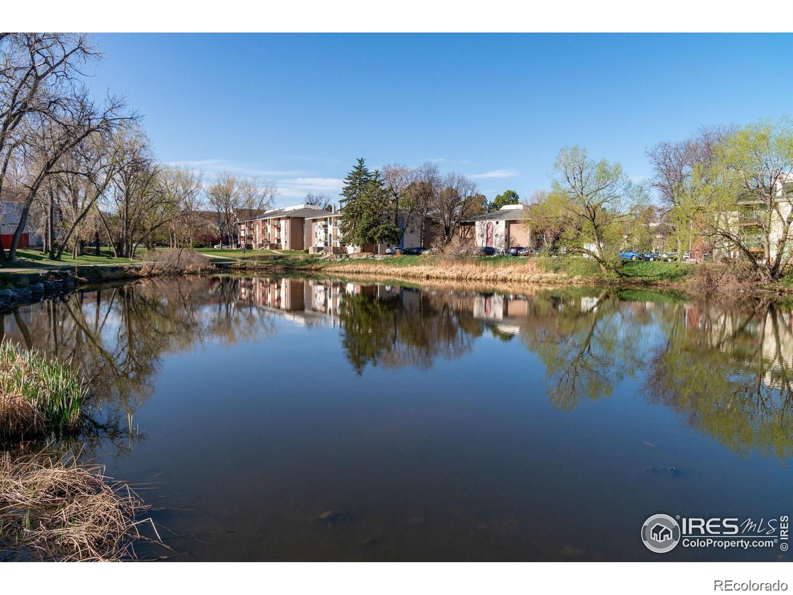 MLS Image #41 for 12108  melody drive,denver, Colorado