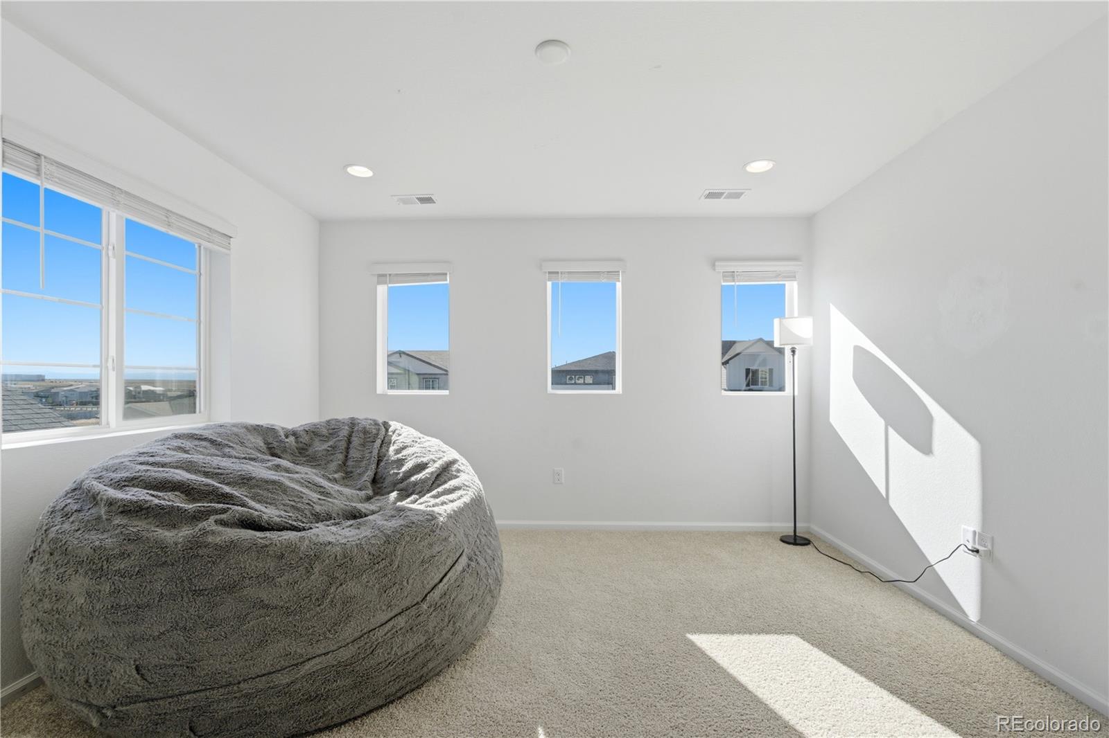 MLS Image #18 for 9074  truckee court,commerce city, Colorado