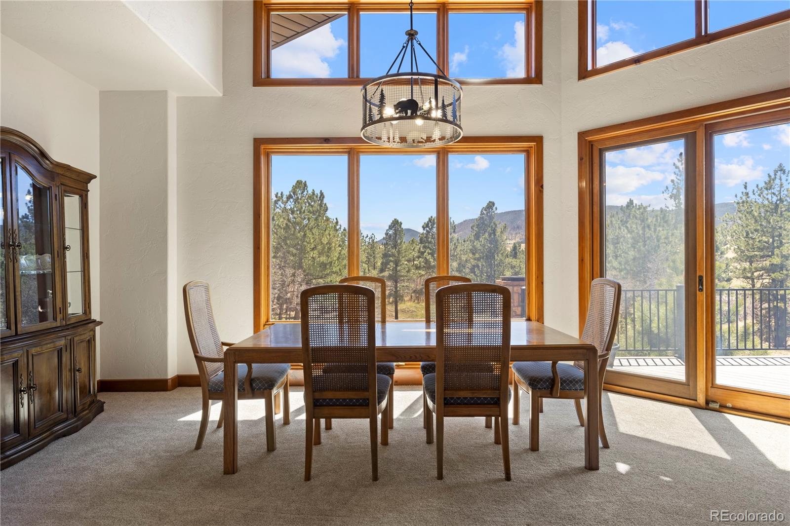 MLS Image #13 for 9676 s perry park road,larkspur, Colorado