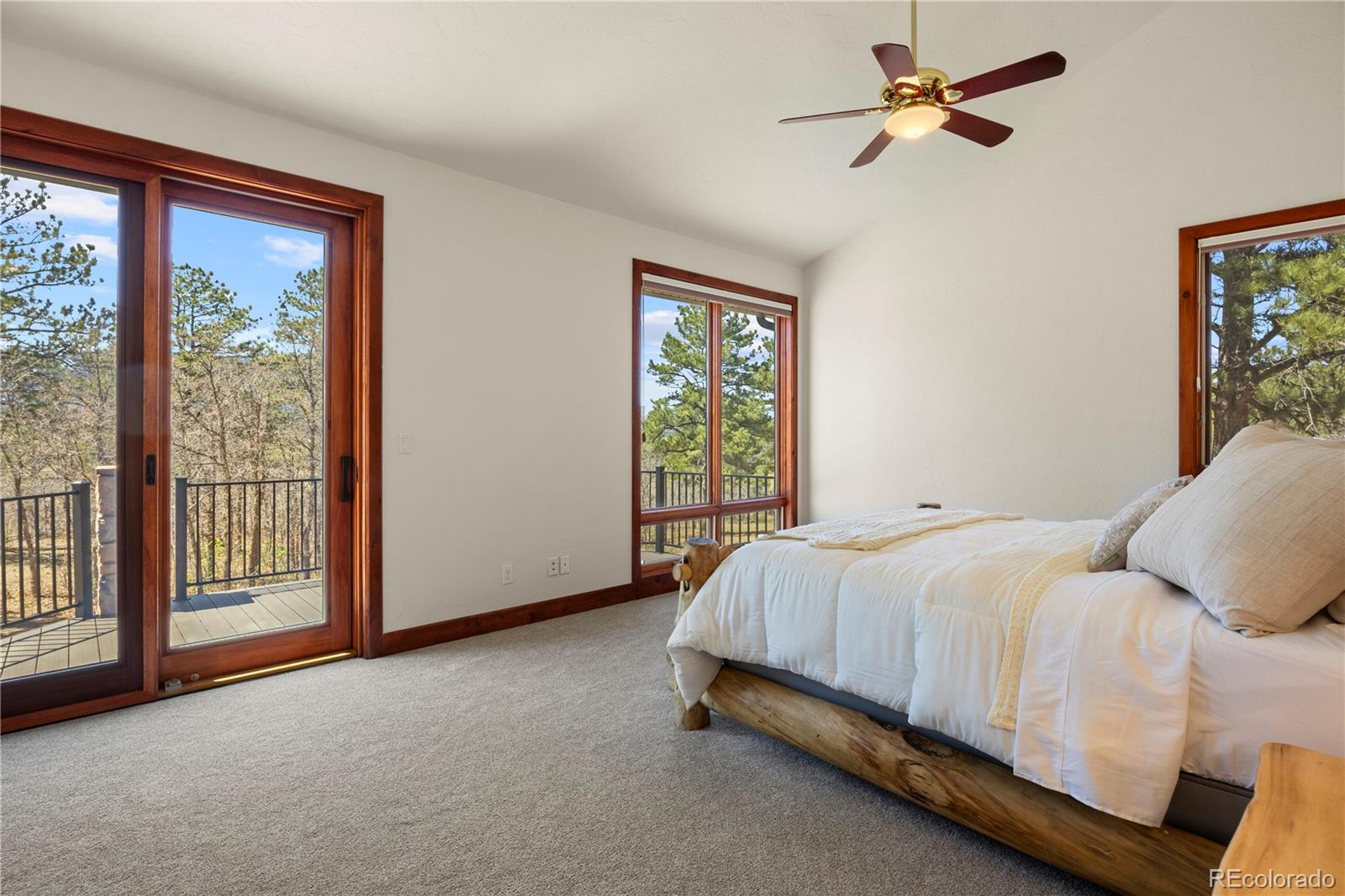 MLS Image #21 for 9676 s perry park road,larkspur, Colorado