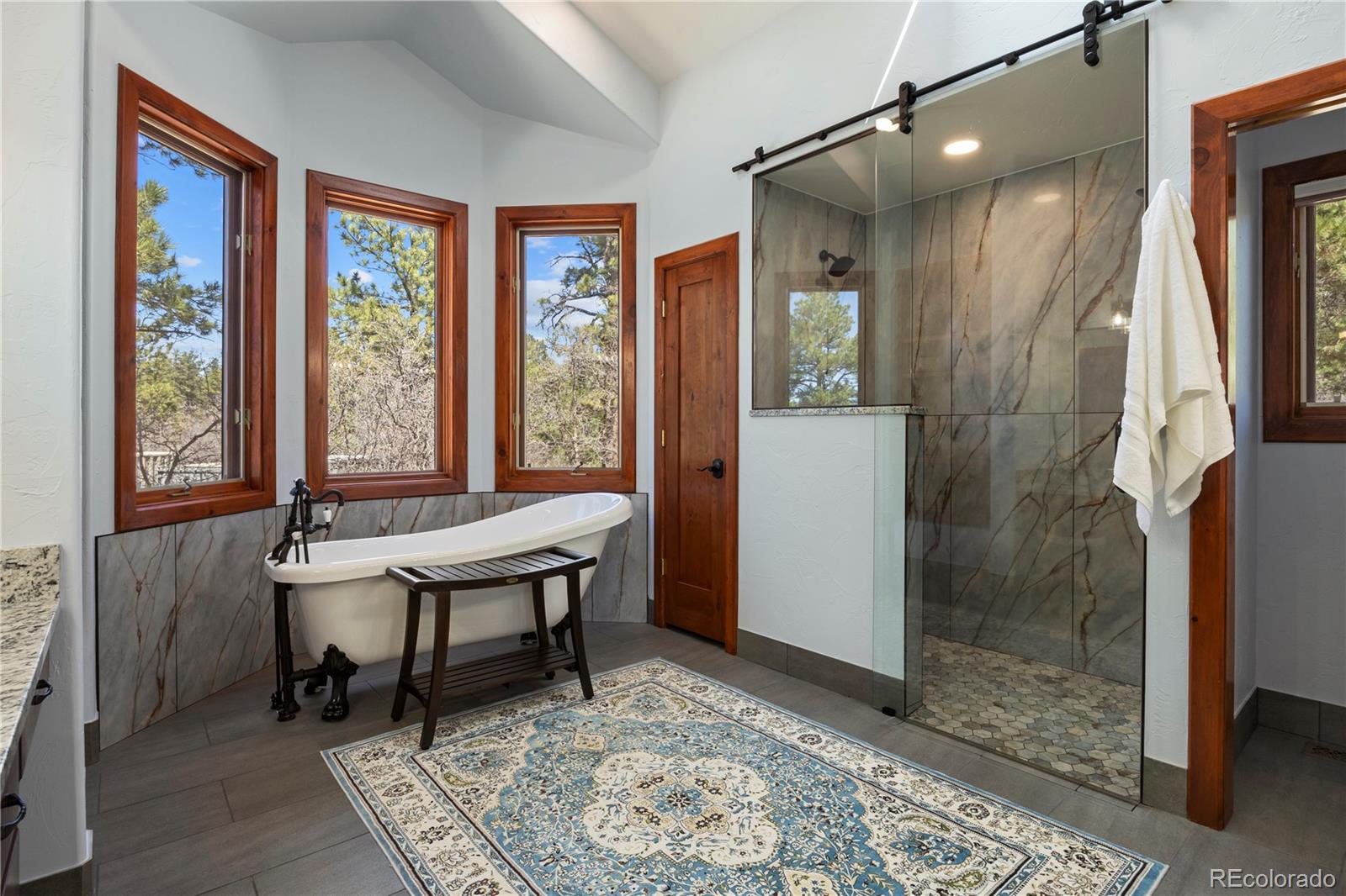 MLS Image #24 for 9676 s perry park road,larkspur, Colorado