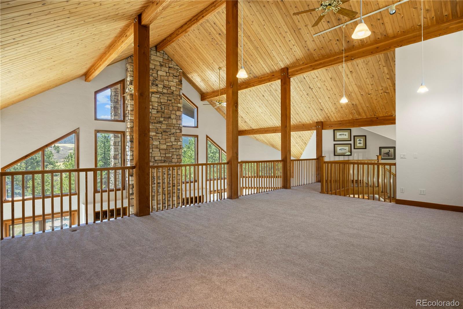 MLS Image #29 for 9676 s perry park road,larkspur, Colorado