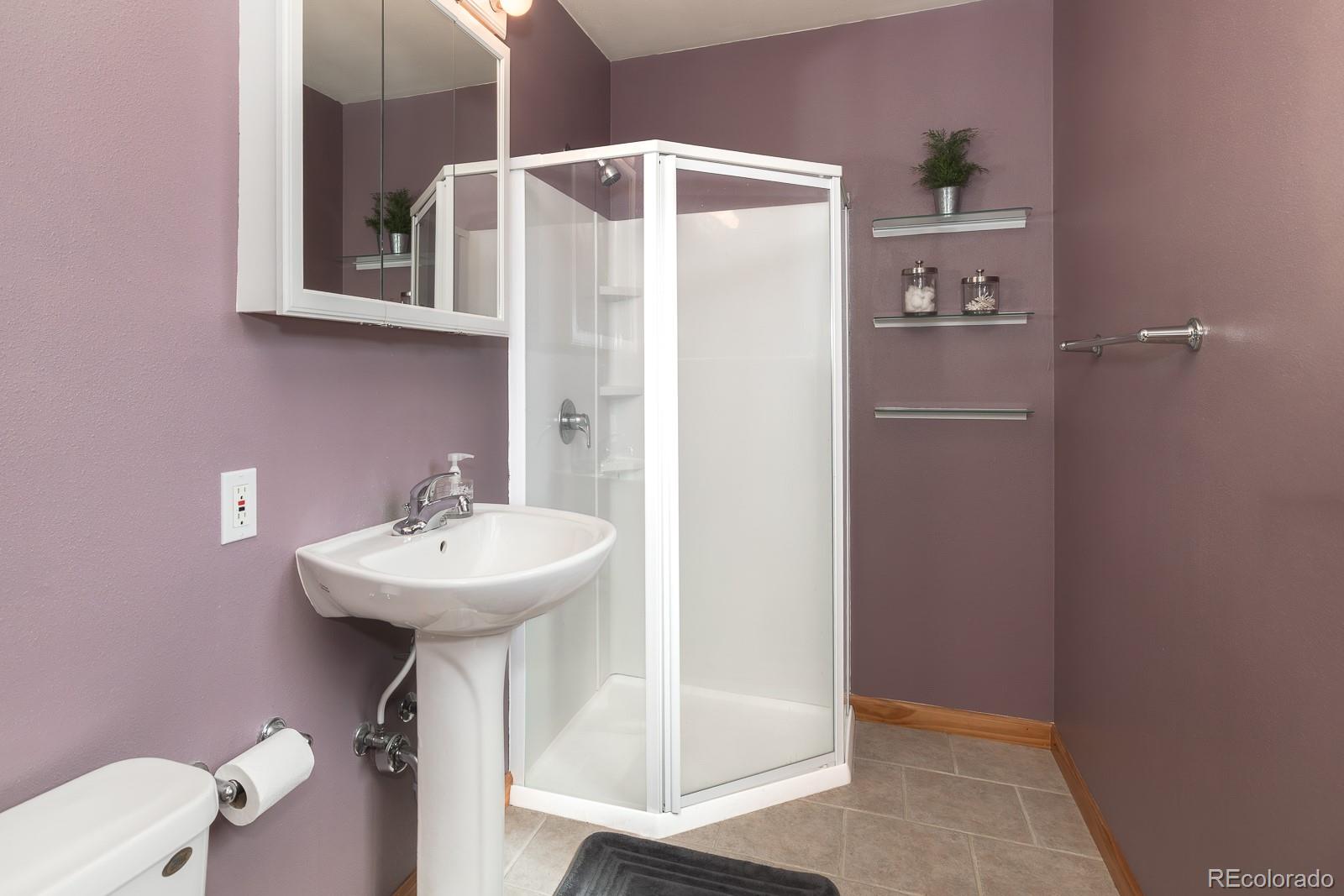 MLS Image #20 for 813  ermine lane,fraser, Colorado