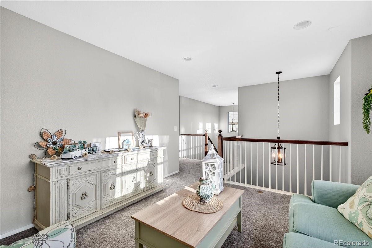 MLS Image #22 for 8049  sabino lane,castle rock, Colorado