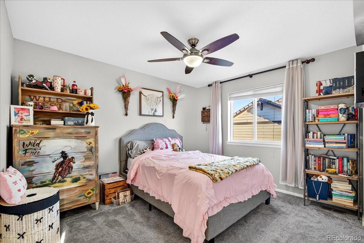 MLS Image #29 for 8049  sabino lane,castle rock, Colorado