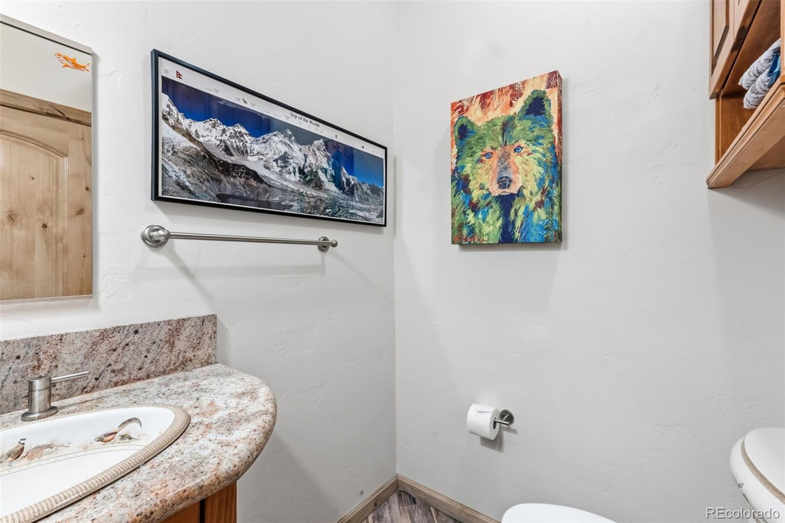 MLS Image #11 for 300  buckeye creek road,leadville, Colorado