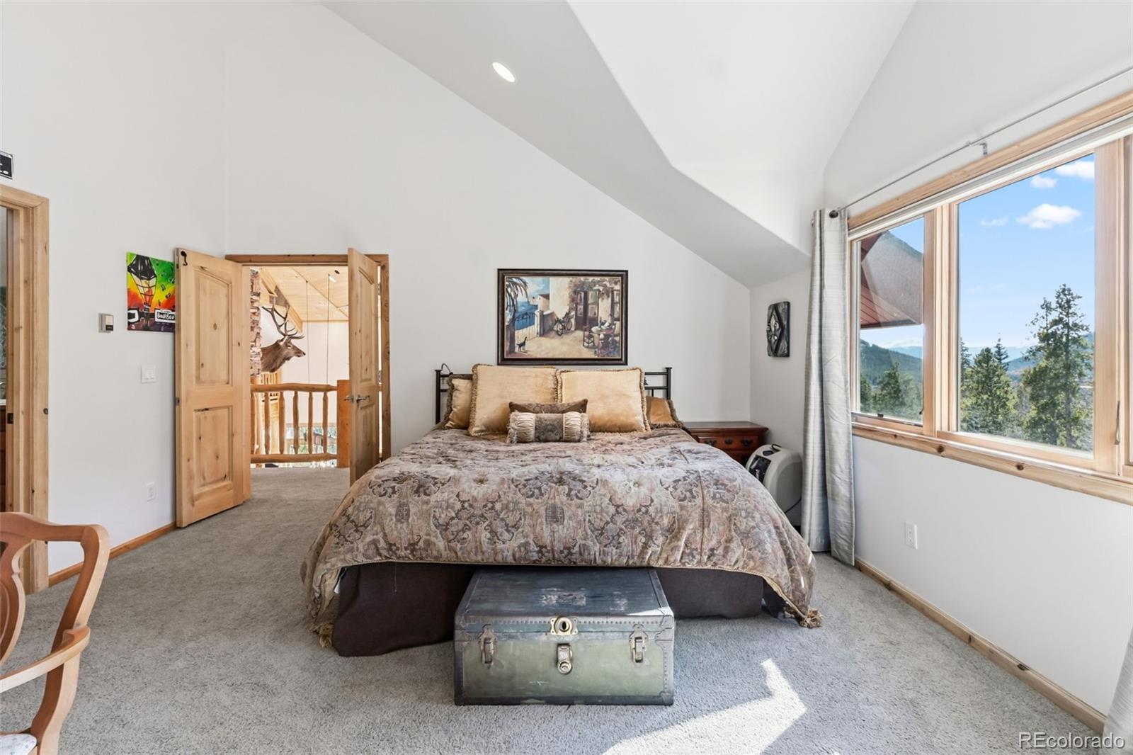 MLS Image #12 for 300  buckeye creek road,leadville, Colorado