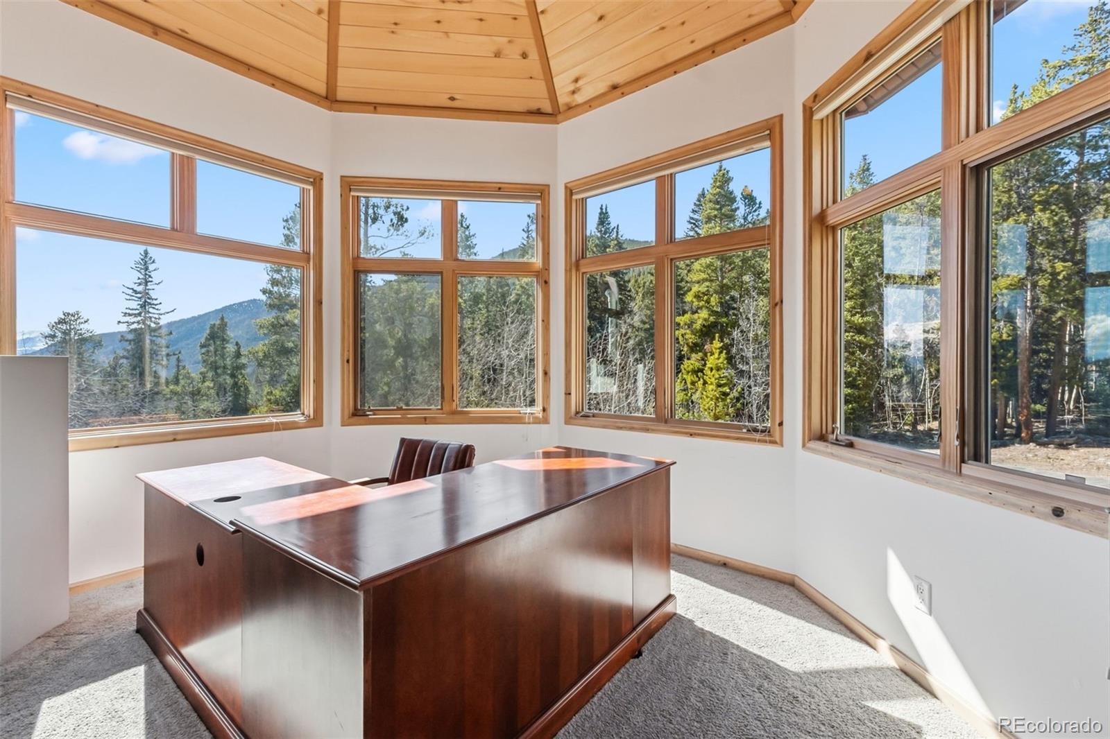 MLS Image #13 for 300  buckeye creek road,leadville, Colorado