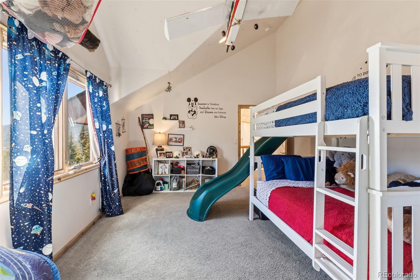 MLS Image #15 for 300  buckeye creek road,leadville, Colorado
