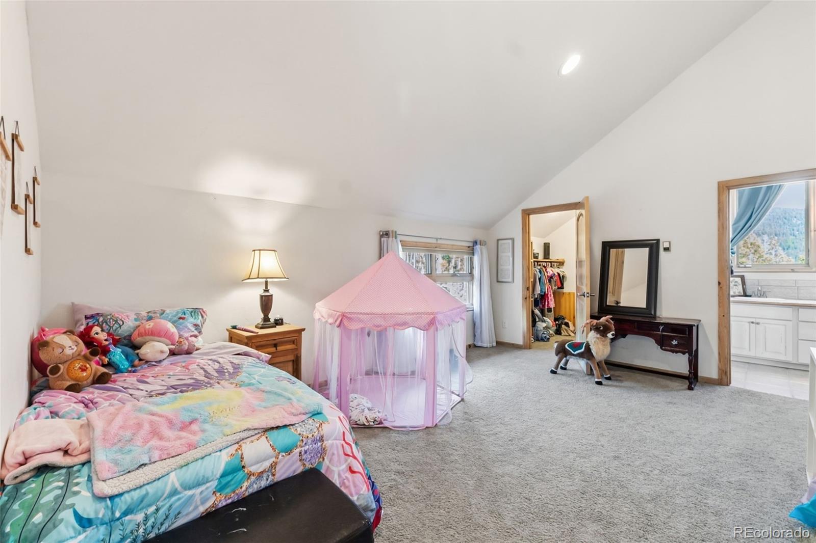 MLS Image #16 for 300  buckeye creek road,leadville, Colorado