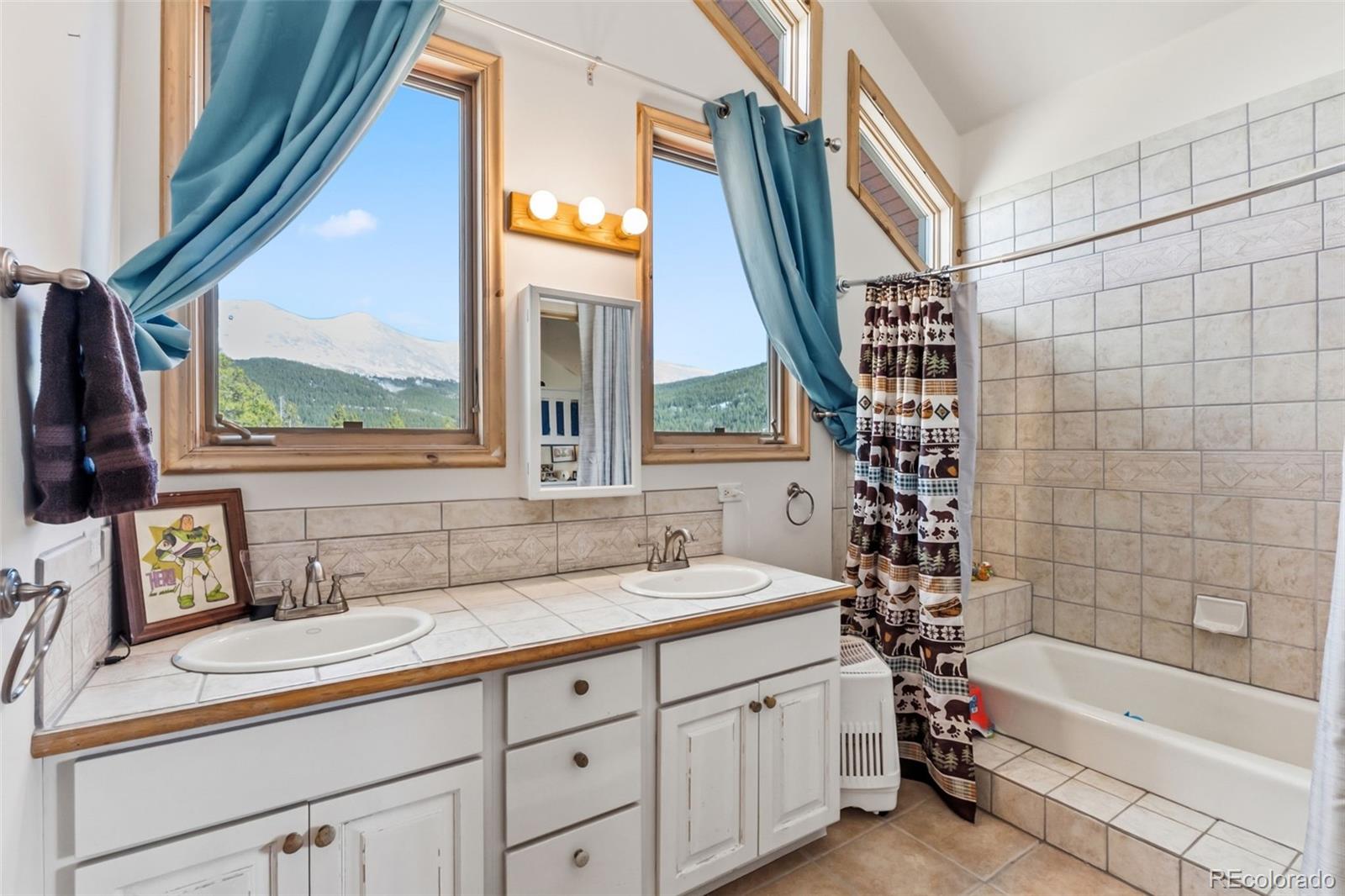 MLS Image #17 for 300  buckeye creek road,leadville, Colorado