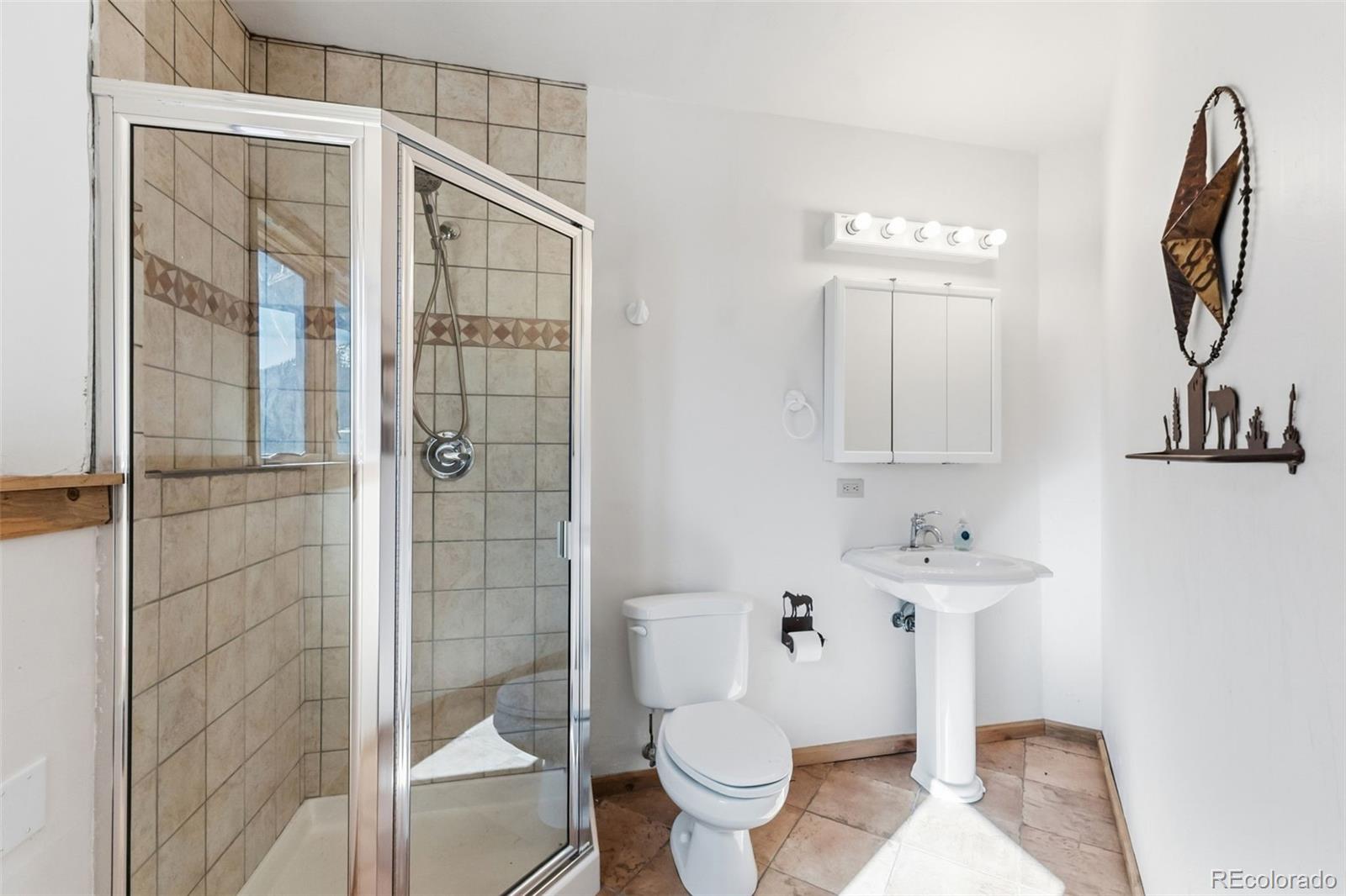 MLS Image #20 for 300  buckeye creek road,leadville, Colorado