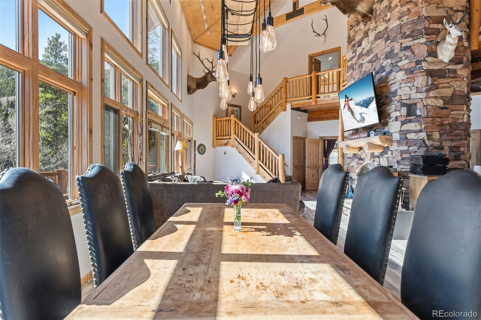 MLS Image #26 for 300  buckeye creek road,leadville, Colorado