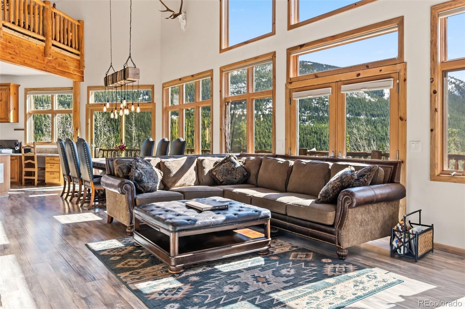 MLS Image #4 for 300  buckeye creek road,leadville, Colorado