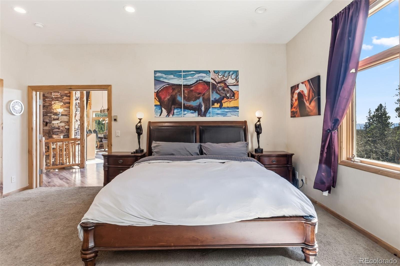 MLS Image #45 for 300  buckeye creek road,leadville, Colorado