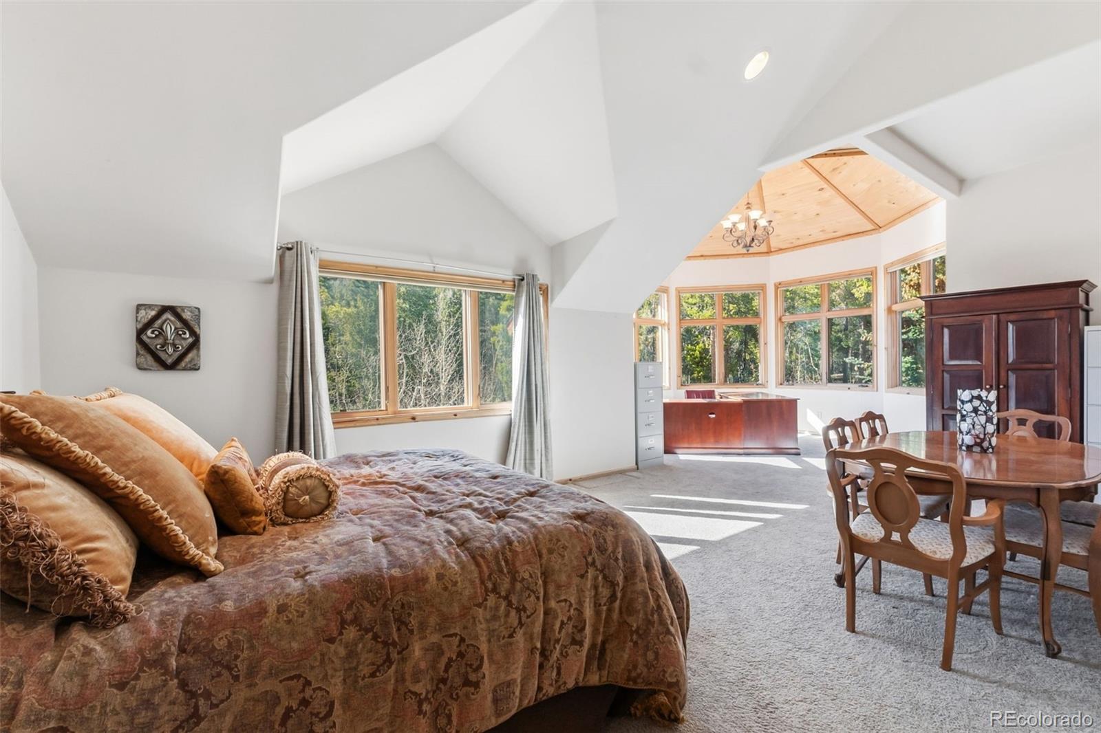 MLS Image #48 for 300  buckeye creek road,leadville, Colorado