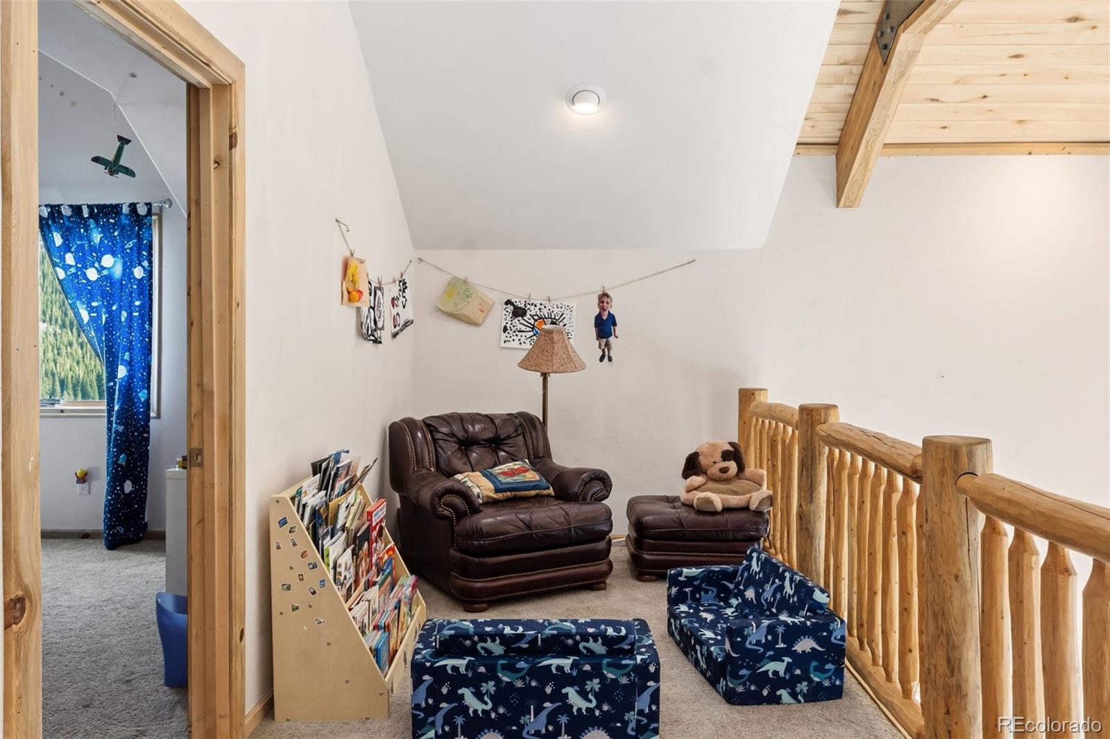 MLS Image #49 for 300  buckeye creek road,leadville, Colorado
