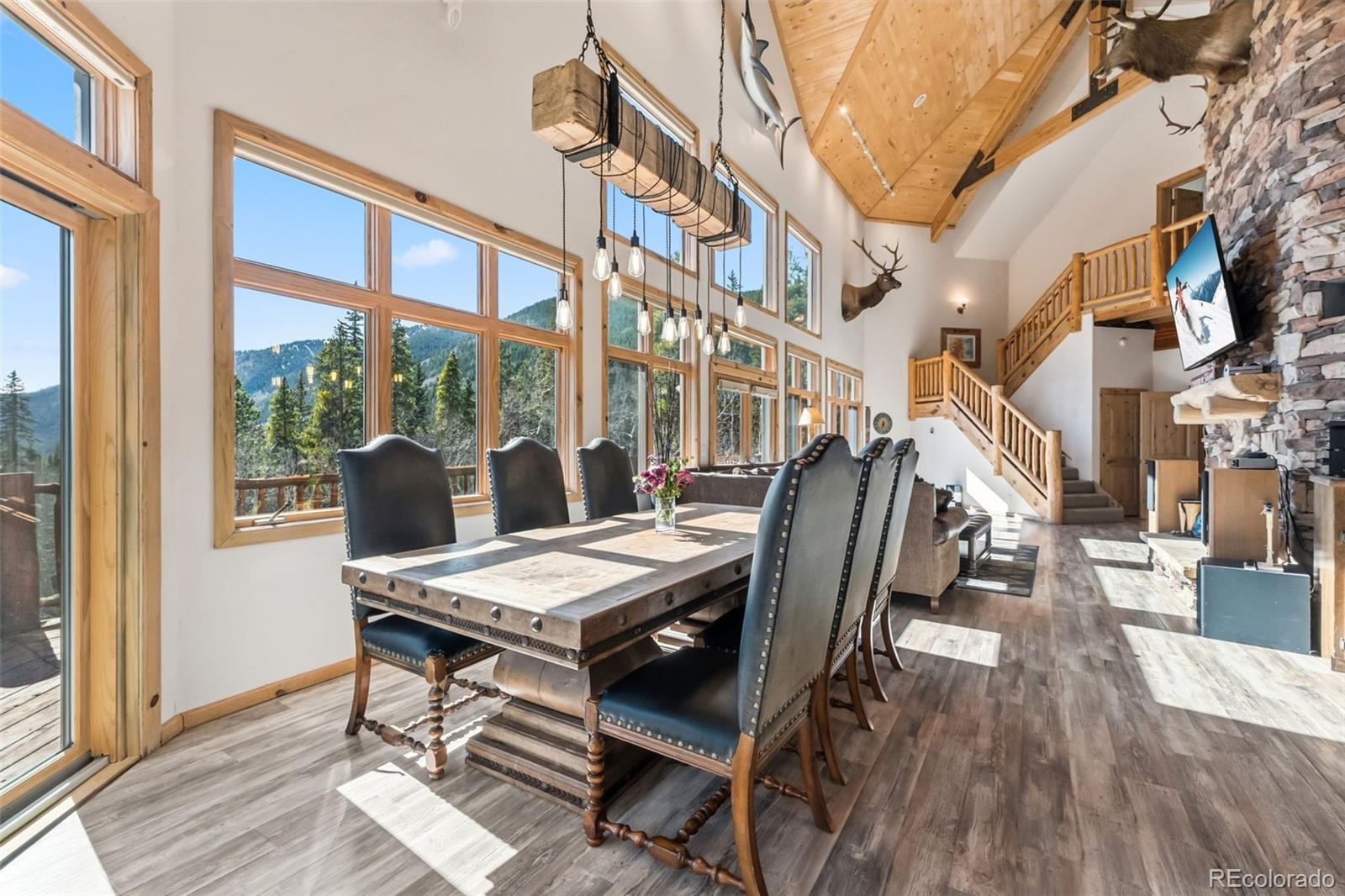 MLS Image #5 for 300  buckeye creek road,leadville, Colorado