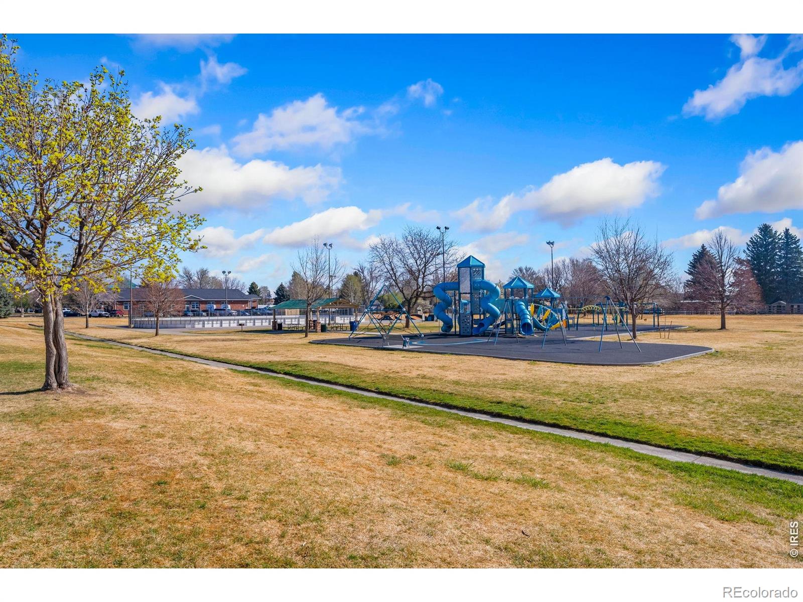 MLS Image #4 for 426  heritage lane,johnstown, Colorado