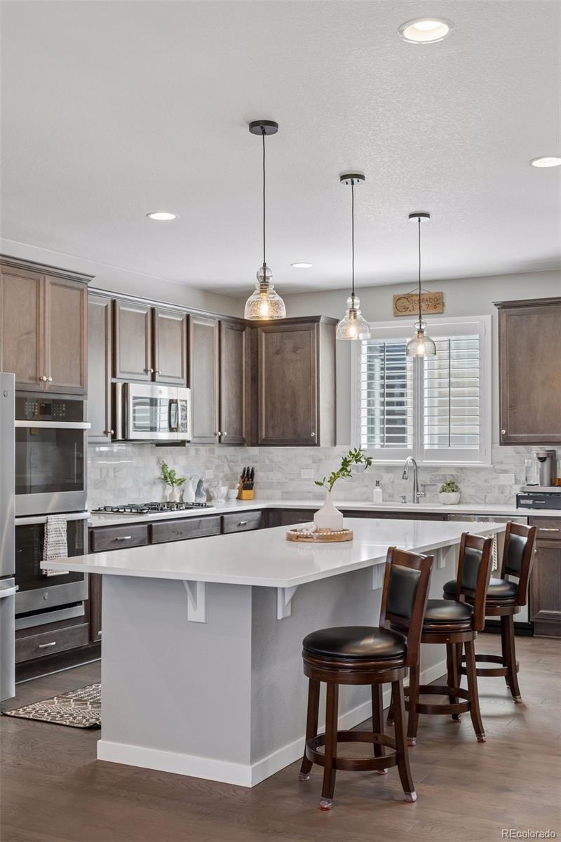 MLS Image #17 for 3640  penang drive,castle rock, Colorado